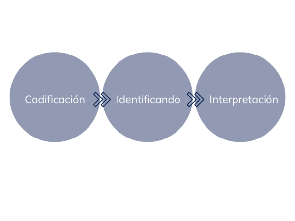 pasos investigación cualitativa