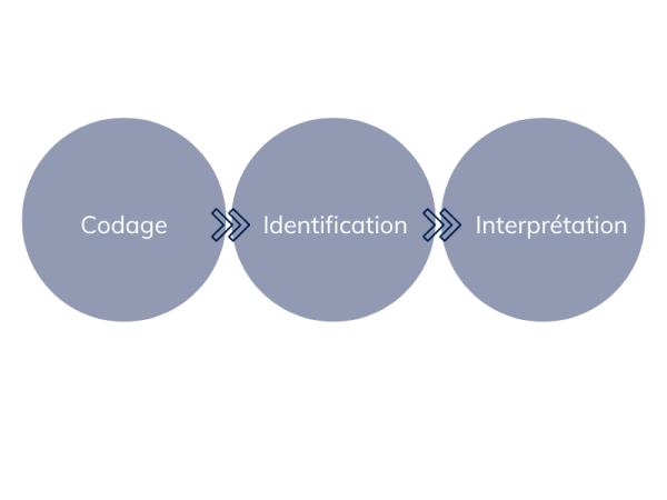 analyse qualitative étapes