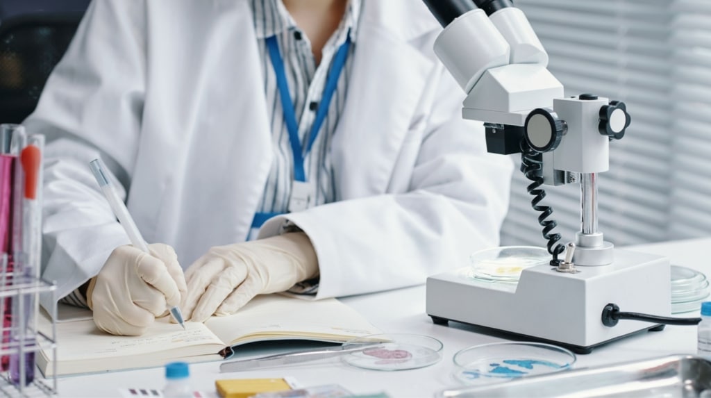 Vérification de plagiat